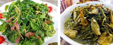 Món Rau Rừng Đồ Tinh Hoa Ẩm Thực Người Mường Hòa Bình